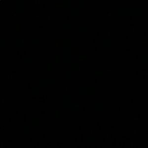 Meet your Posher, Sonia